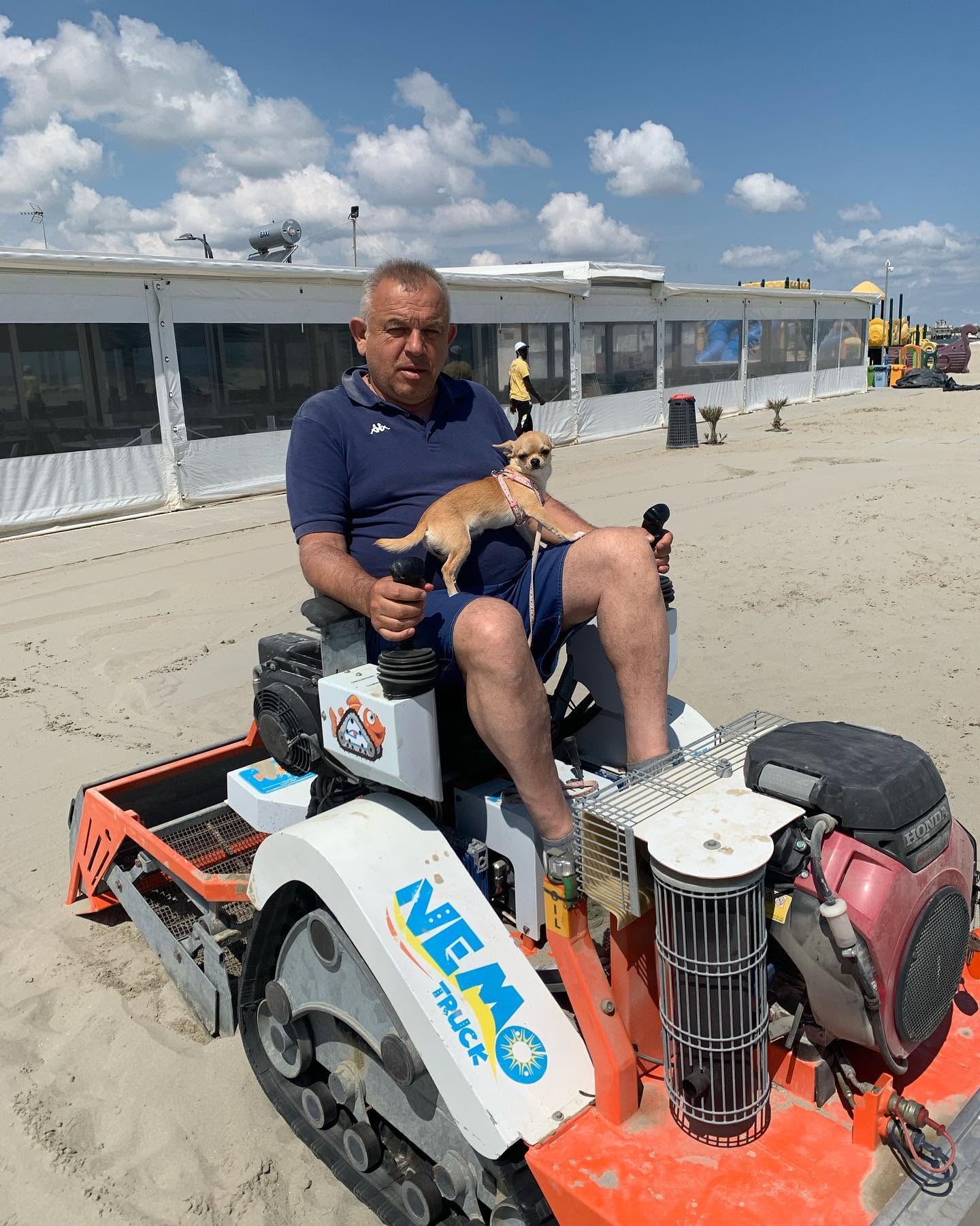 Cane in spiaggia - area Beach Dog